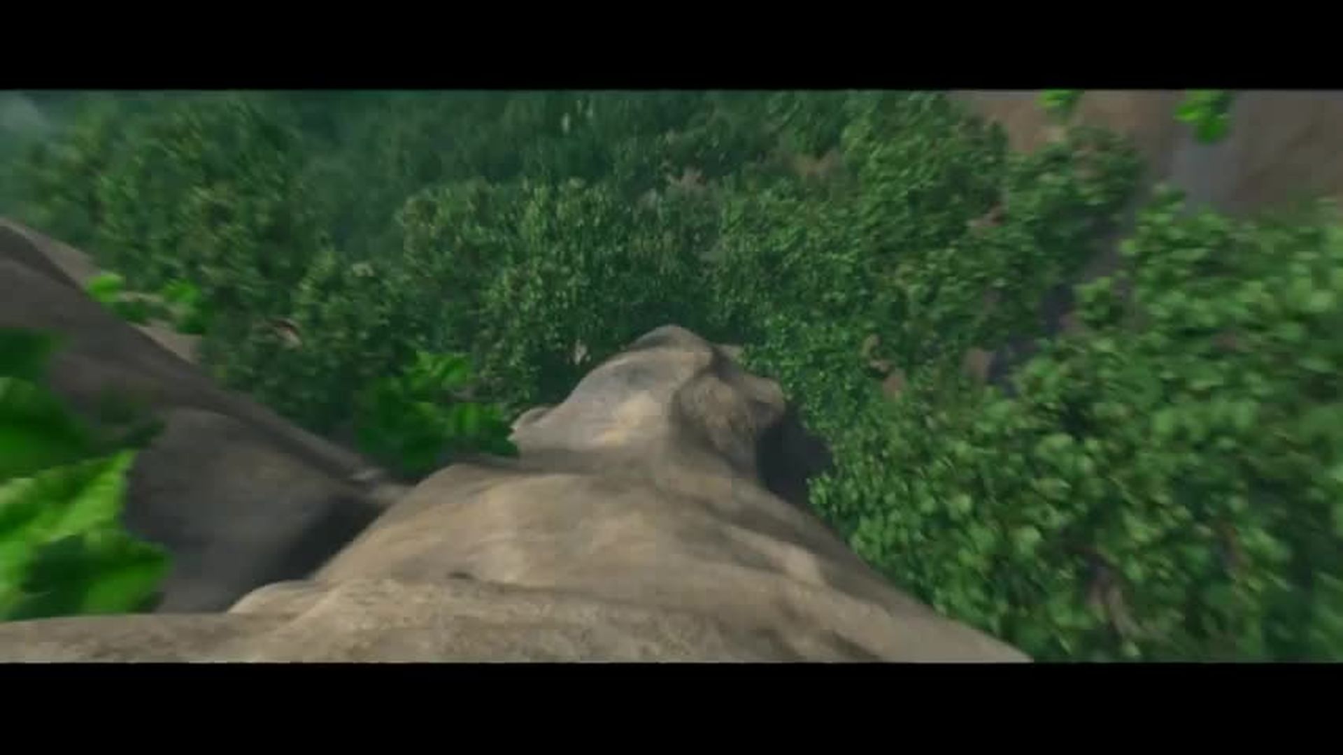 Rio 4